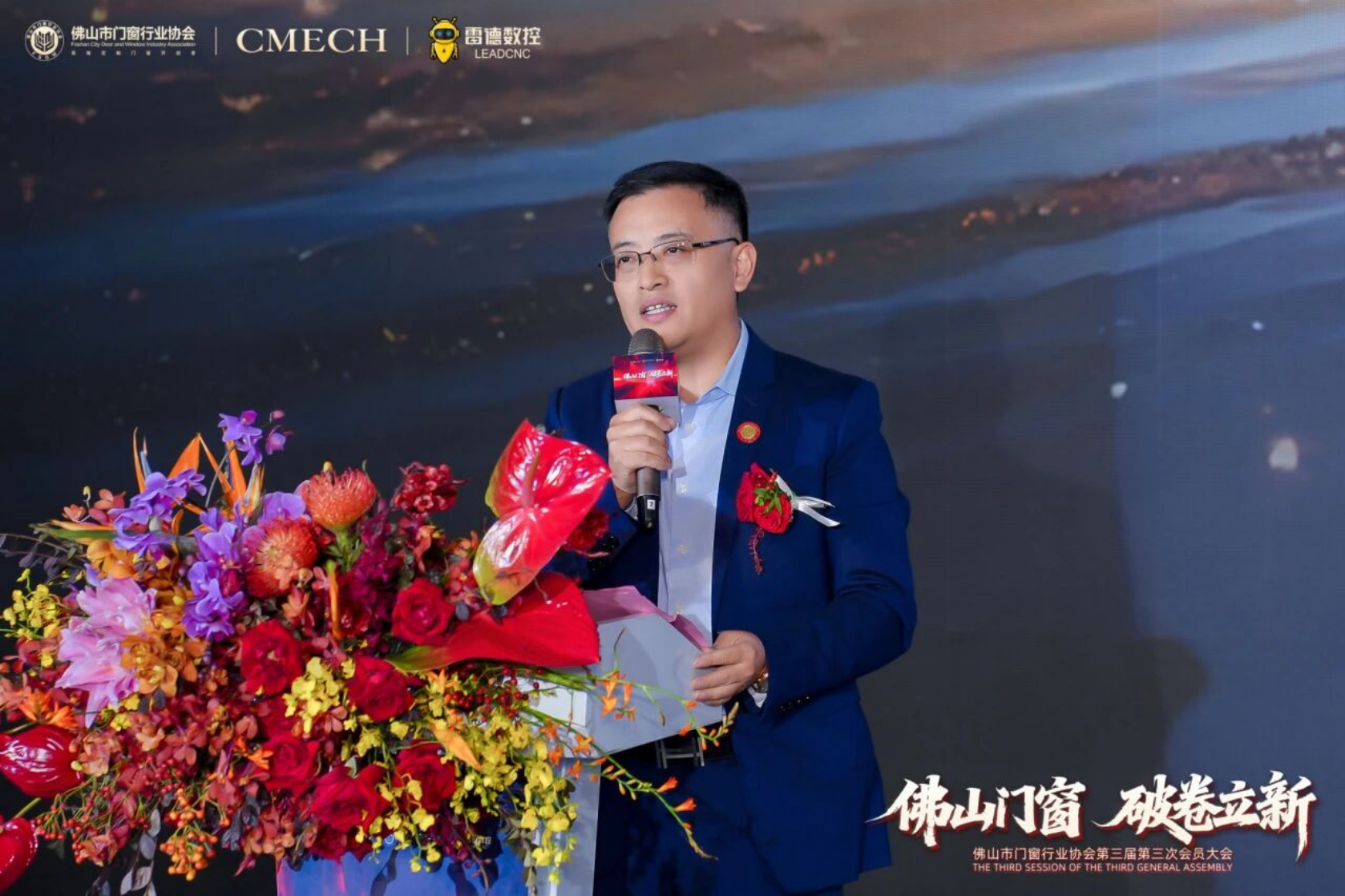 rolansini window rolansini window