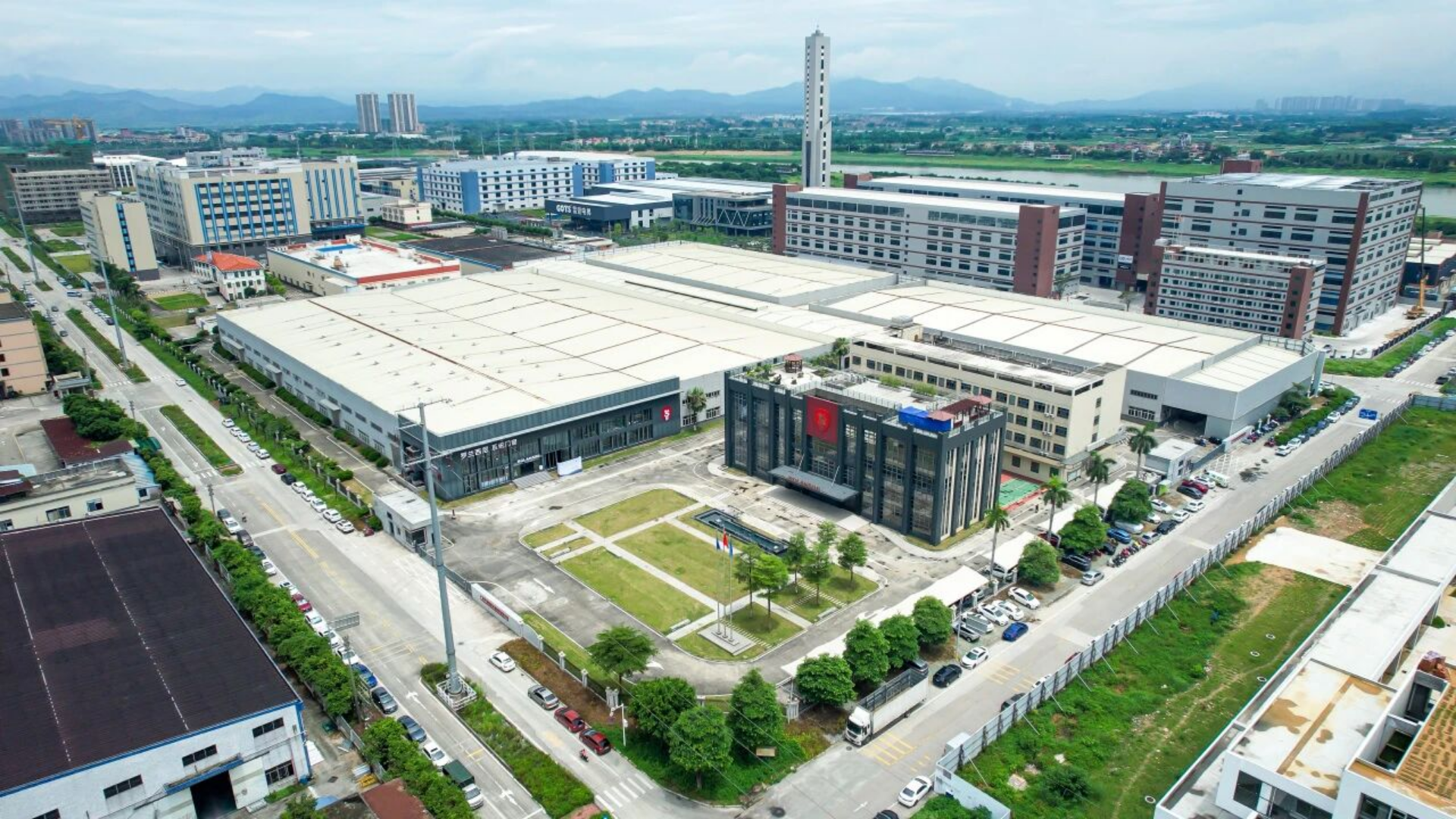 rolansini window rolansini window