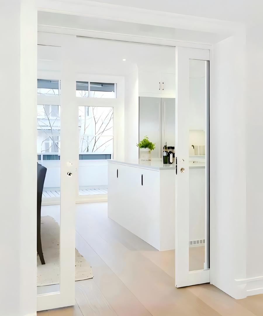 Pocket Door &Ghost Door (2)