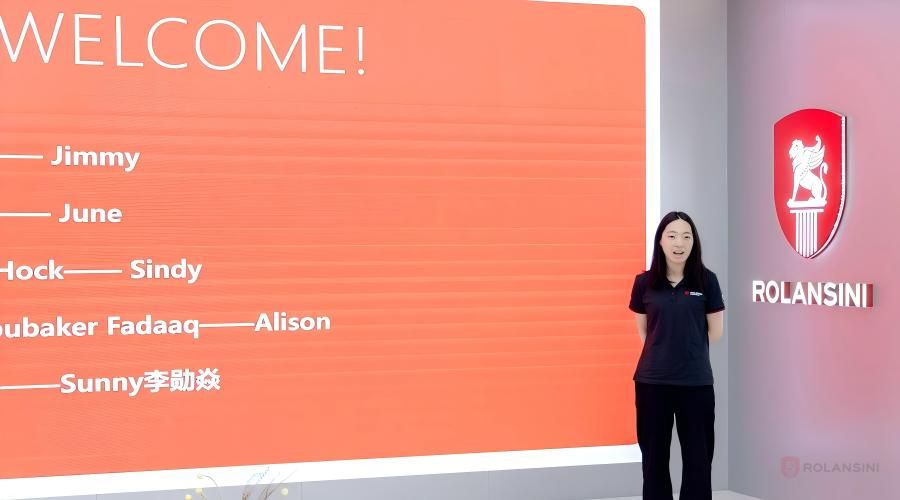 Rolansini windows&doors (3)