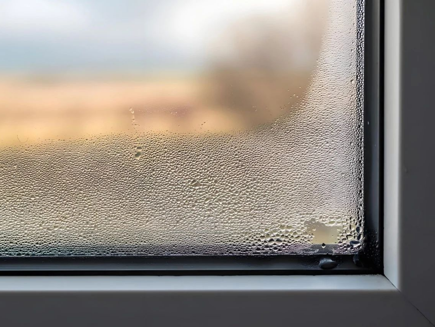 insulated glass0005
