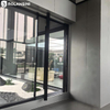 Customized Front Door Modern Double Glass 180° Pivot Sliding Door